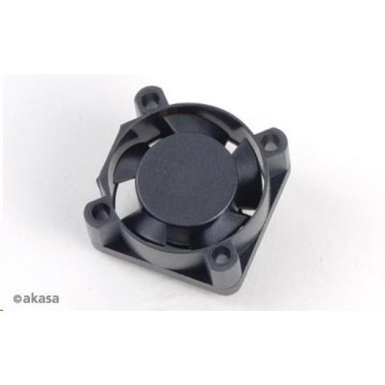 AKASA ventilátor AK-189BK-2B, 25x25x10mm, 2 pins, 2x kuličkové ložisko