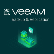 Veeam Backup & Replication Enterprise  per VM  (1VM/12M)