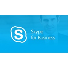 Skype for Business Server Standard CAL SA OLP NL DEVICE Skype for Business Server Standard CAL SA OLP NL DEVICE